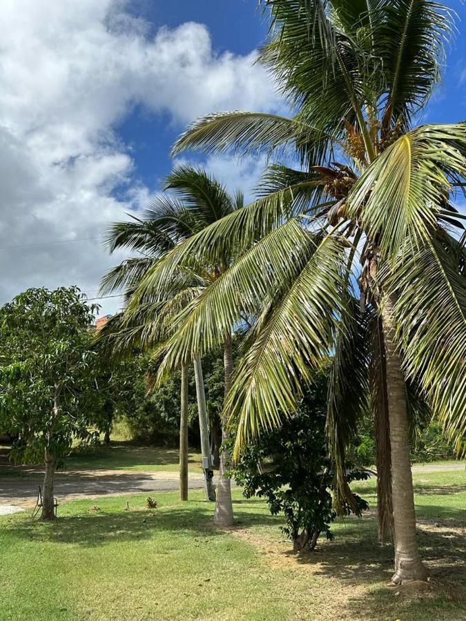 New! Bluestone Getaway In Christiansted Usvi ! Apartment Exterior photo